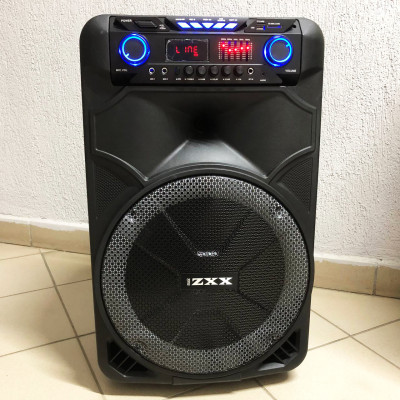Професійна аккумуляторна система ZXX-1011 800 Вт 15" зі світломузикою та мікрофонами
