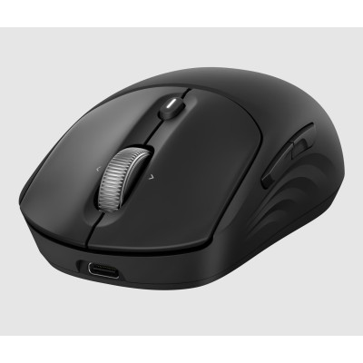 Мышь HP 700 Rechargeable, WL/BT, черный