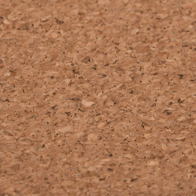 Коврик для мыши 2E CORK, S(300x200x2мм), коричневый