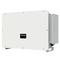 SOLAX Сетевой трехфазный инвертор PROSOLAX X3-FTH-125K