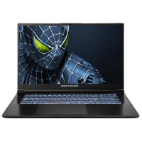 Ноутбук Dream Machines RG5050-17 17.3FHD IPS, Intel i9-14900HX, 16GB, F1TB, NVD5050-8, DOS, чорний