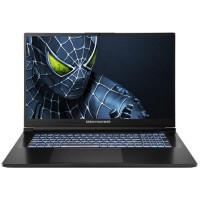 Ноутбук Dream Machines RG5050-17 17.3FHD IPS, Intel i7-14650HX, 32GB, F2TB, NVD5050-8, DOS, чорний