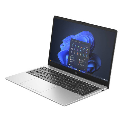 Ноутбук HP 250R-G10 15.6" FHD IPS, Intel 3-100U, 16GB, F512GB, UMA, Win11P, серебристый