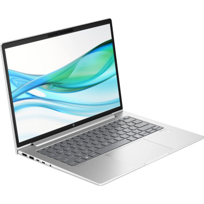 Ноутбук HP ProBook 445 G11 (8Z9P4AV_V5)
