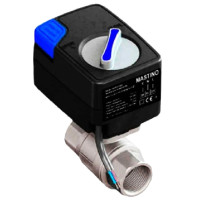 MASTINO 12В 1" Кран з електроприводом