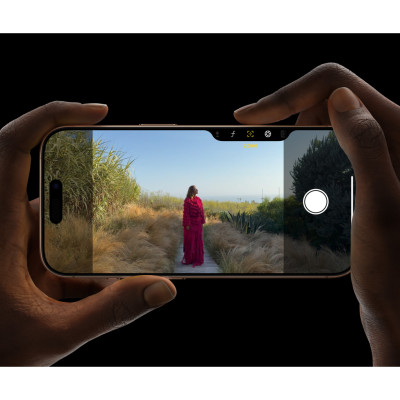 Мобільний телефон Apple iPhone 16 Pro Max 256 GB Natural Titanium (MYWY3)