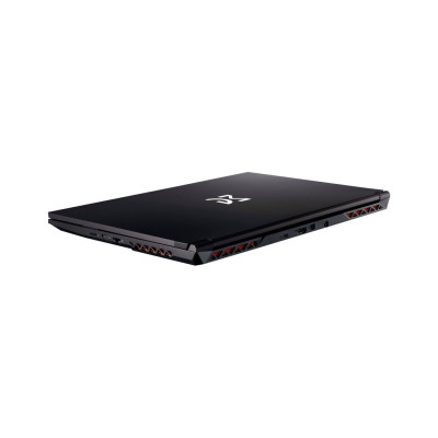 Ноутбук Dream Machines RG2050-17 (RG2050-17UA20)